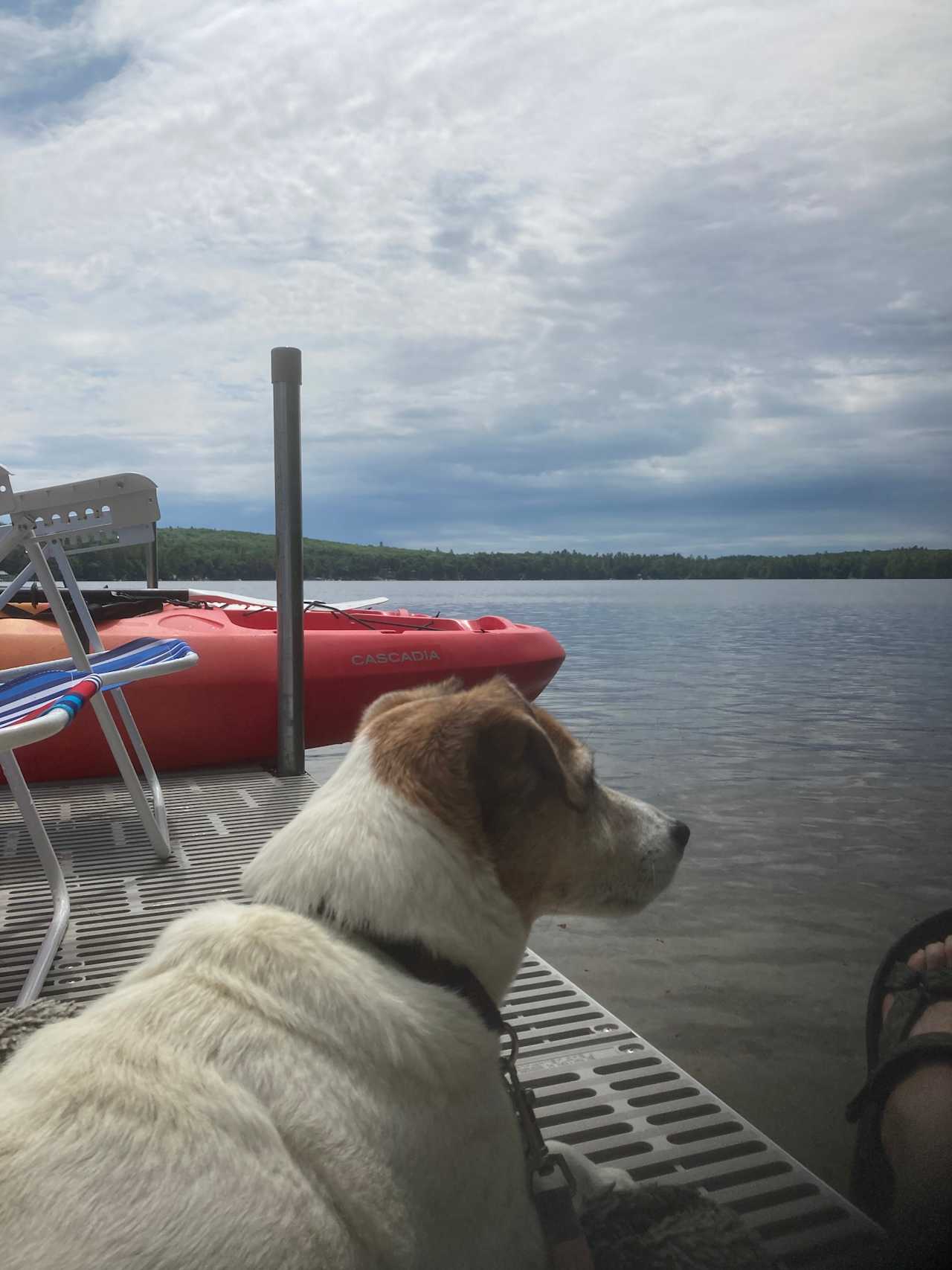 The Queen's Property on Thomas Pond