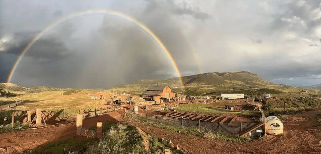 Homestead Farm Lyons