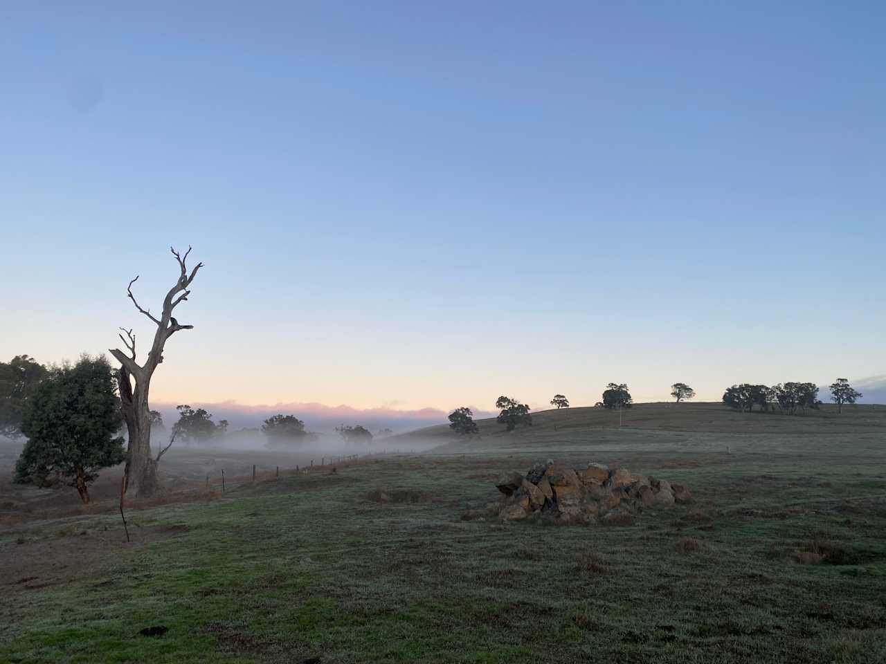 The Valley of Eden - Barossa