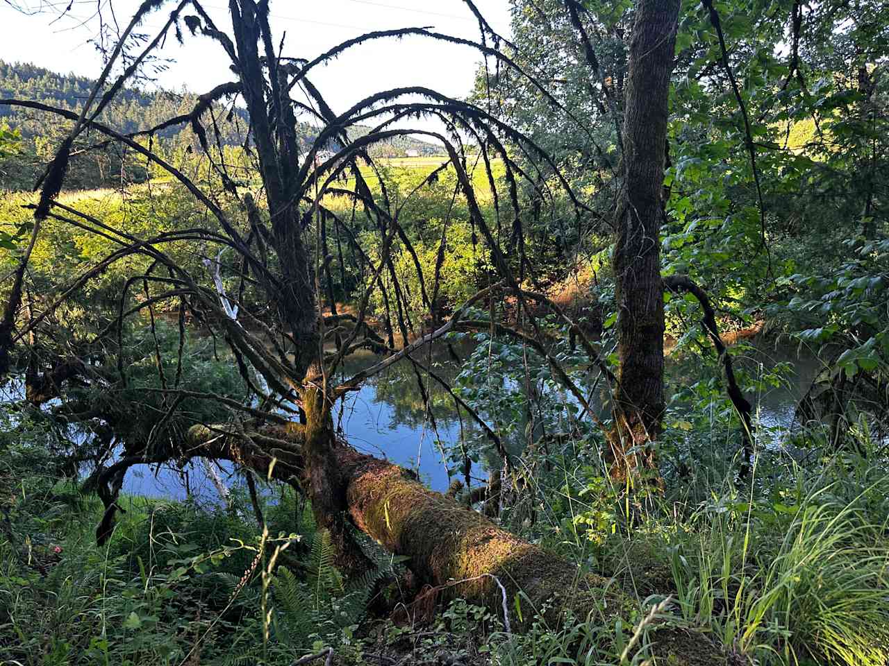 This is the view of the river across from your camp site.  You can pull up your camp chair and enjoy the view