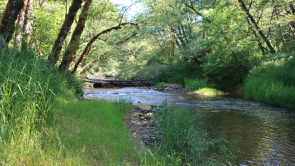 LivingWell Nature Spirit Sanctuary