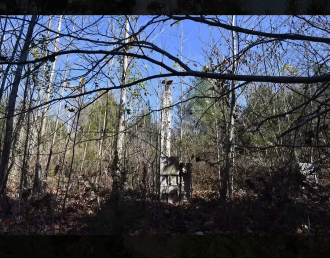Dale Hollow State Park Hollar