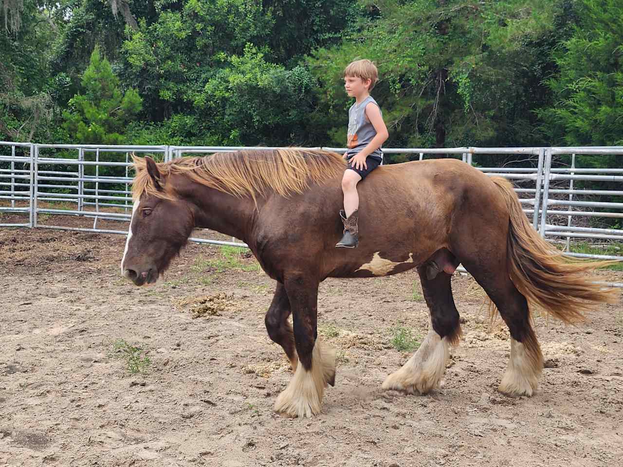 horse arena stalls trails rv spots