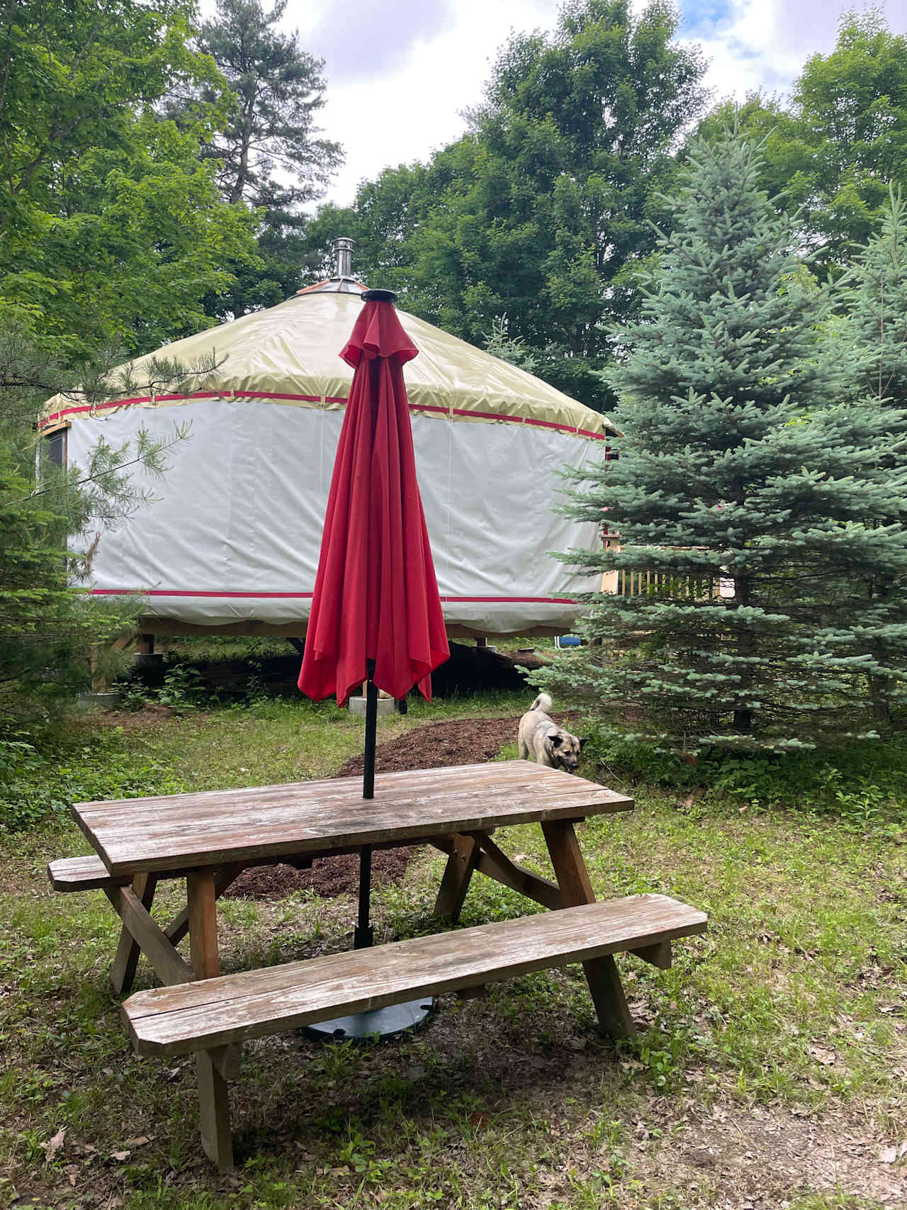 Rooted Heart Farm Yurt