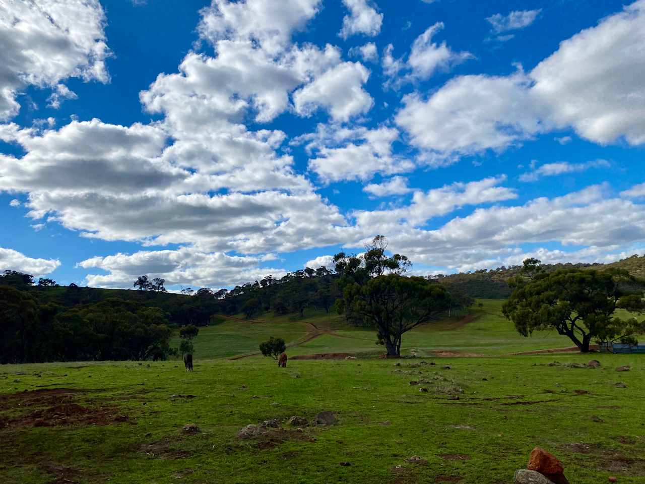 Sandalwood Downs  Farm Stay Toodyay