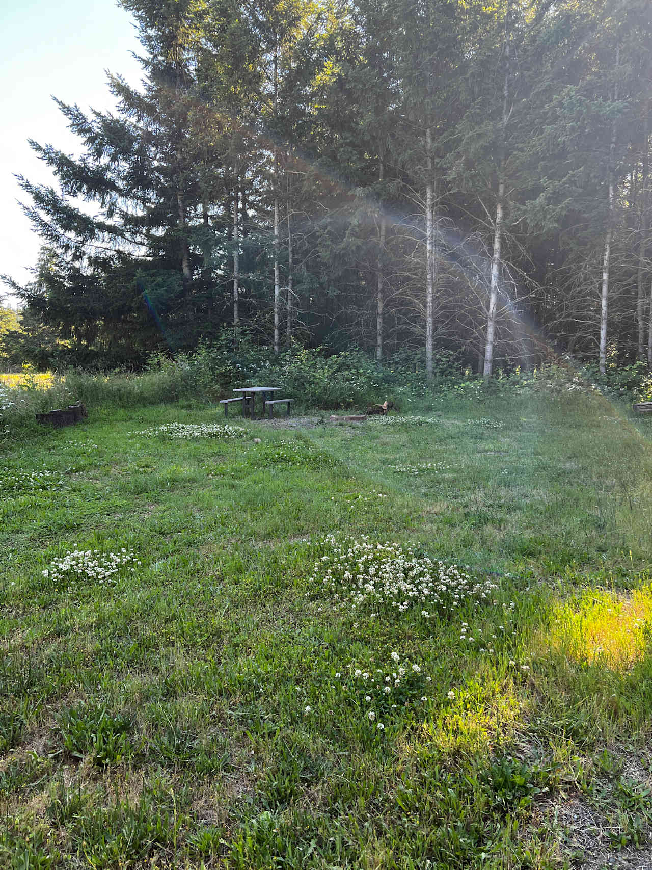 Homestead By Estacada Lake
