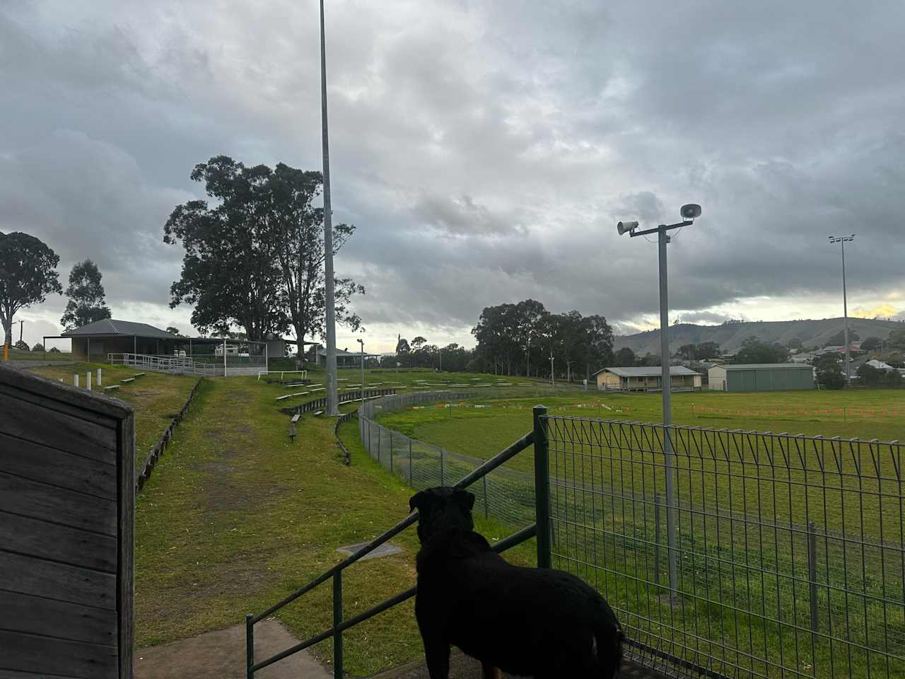 Dungog Showground Camping