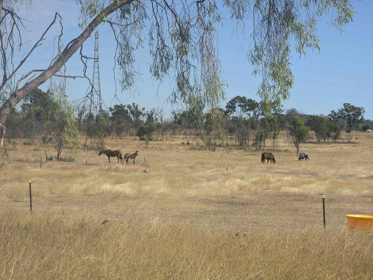 Laurel Bank Farm