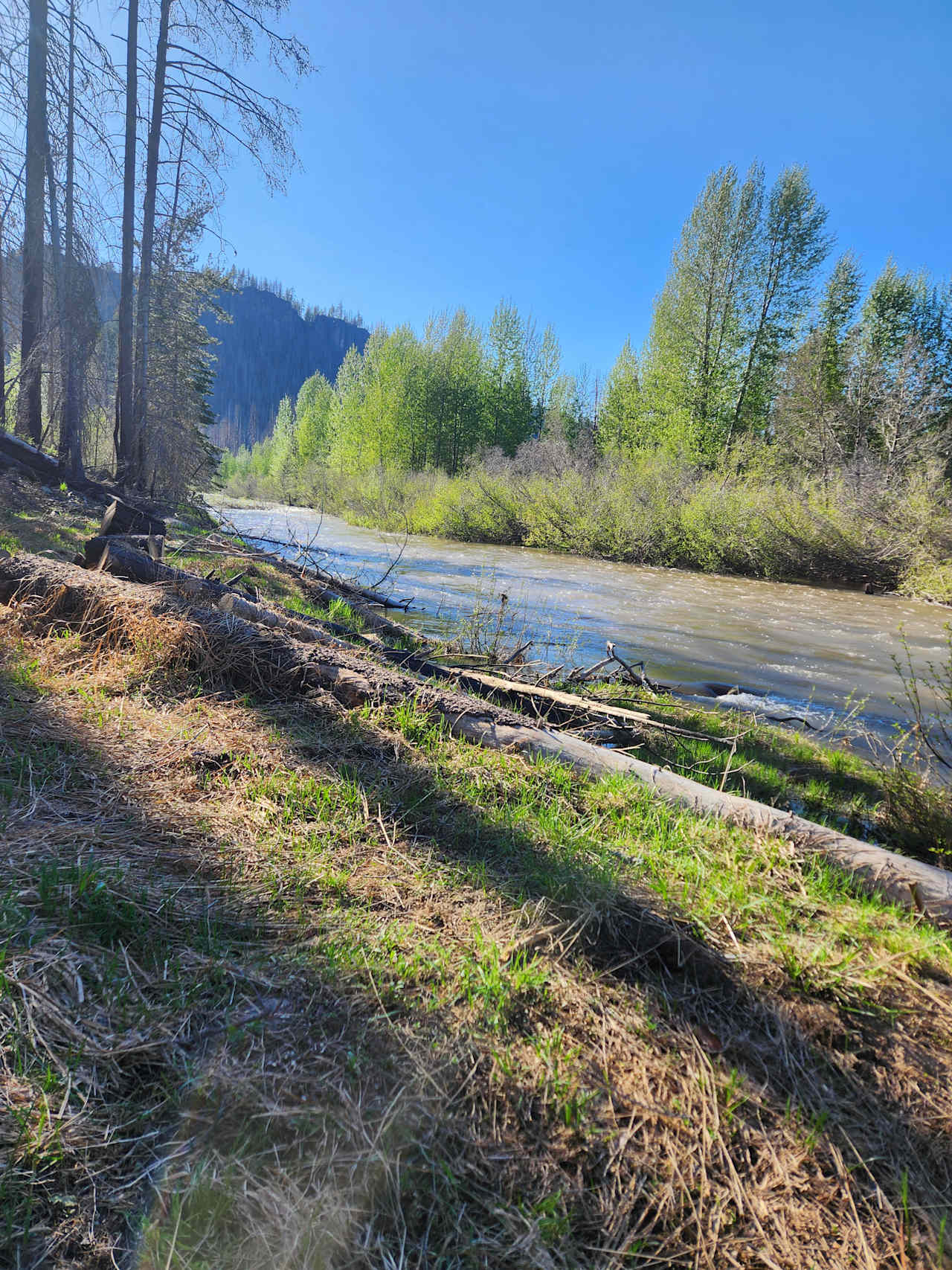 Story Creekside Retreat