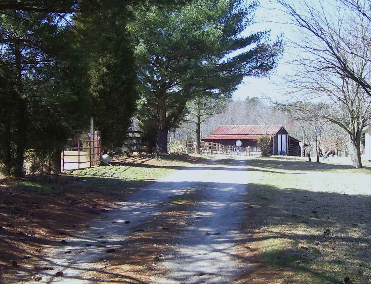 Patient Wait Regenerative Farm