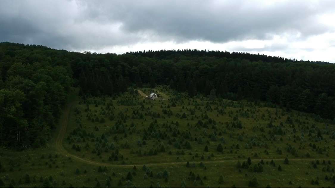 Christmas Tree Farm Hidden Delight