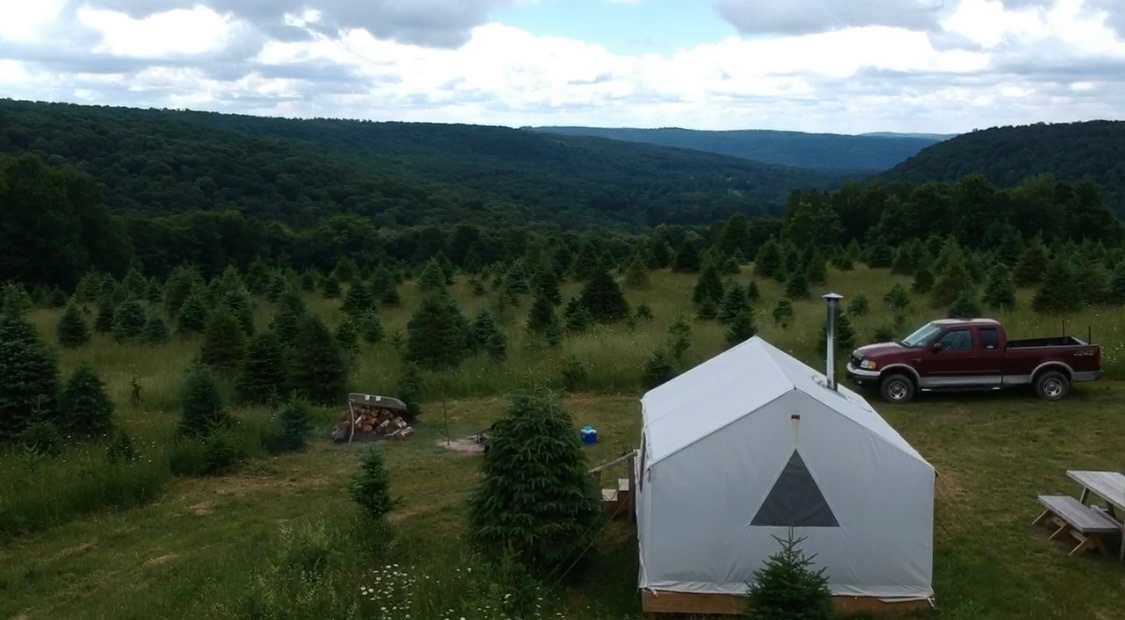 Christmas Tree Farm Hidden Delight