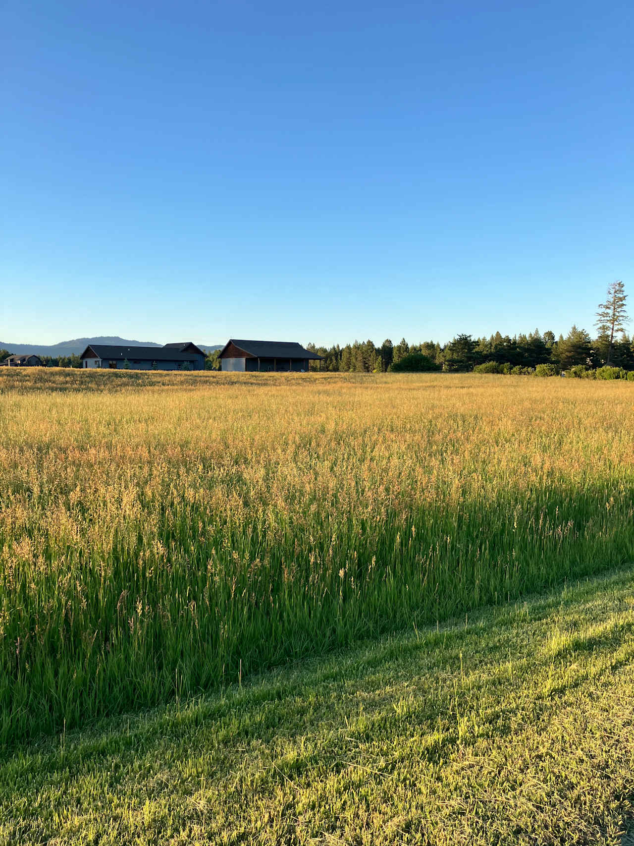 Mountain View Farmstead