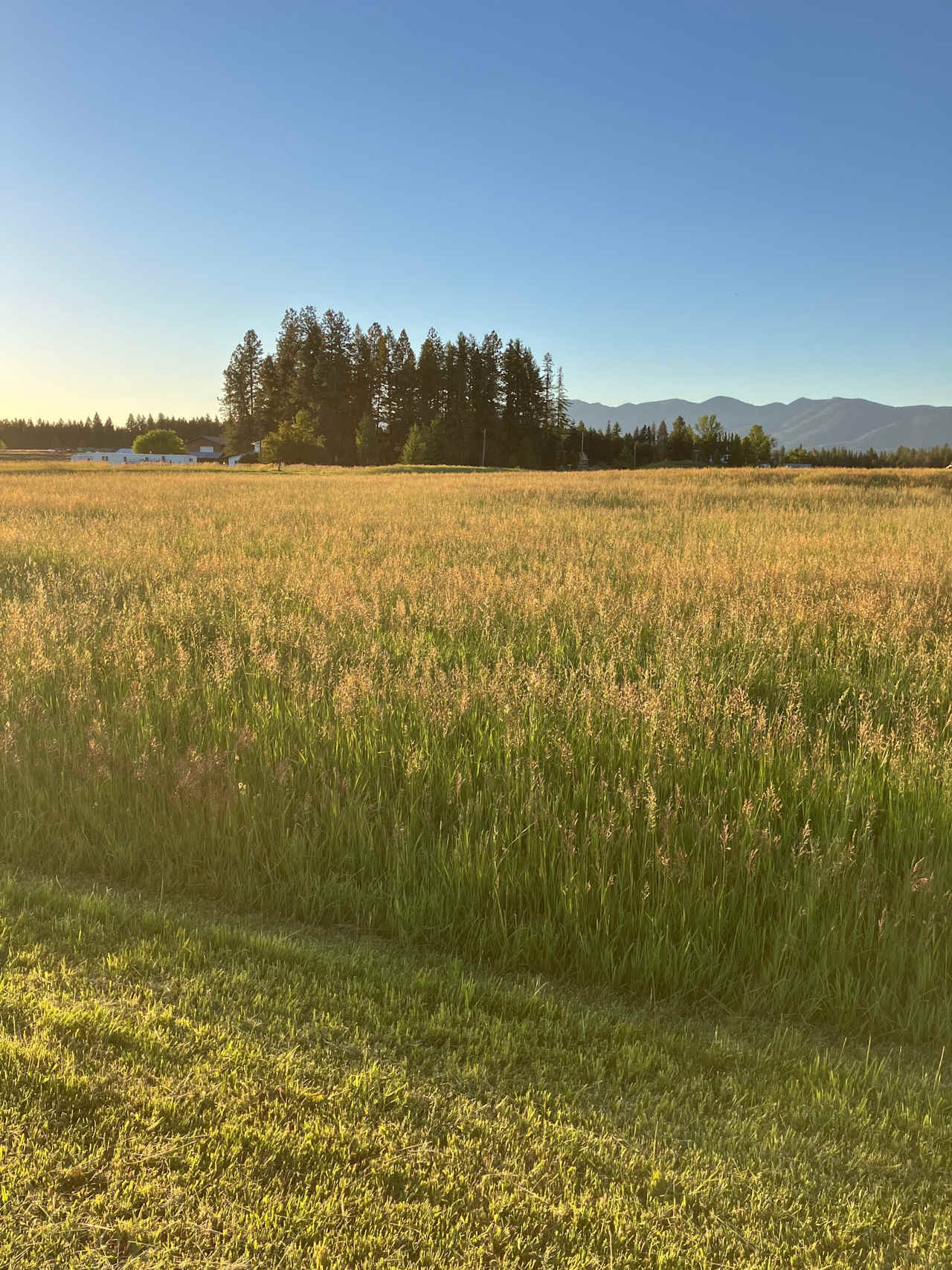 Mountain View Farmstead