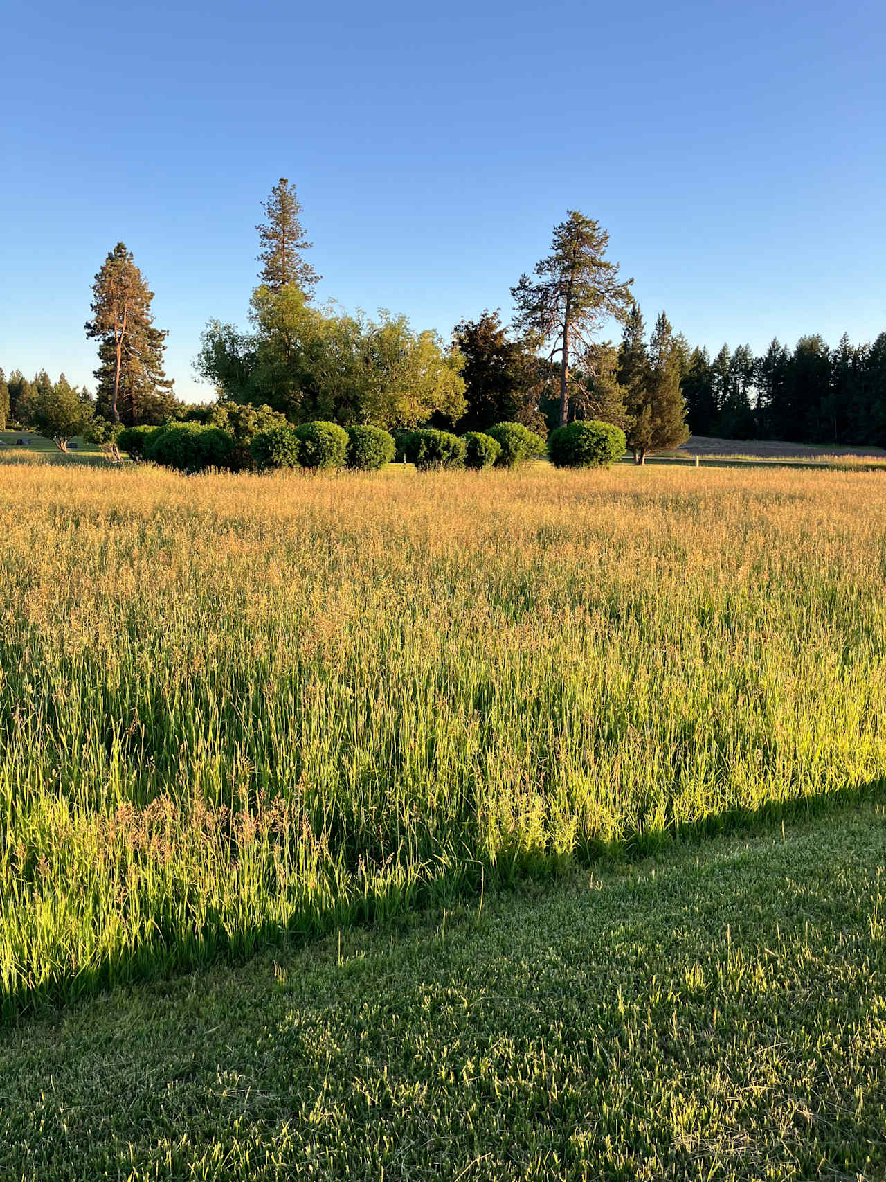 Mountain View Farmstead