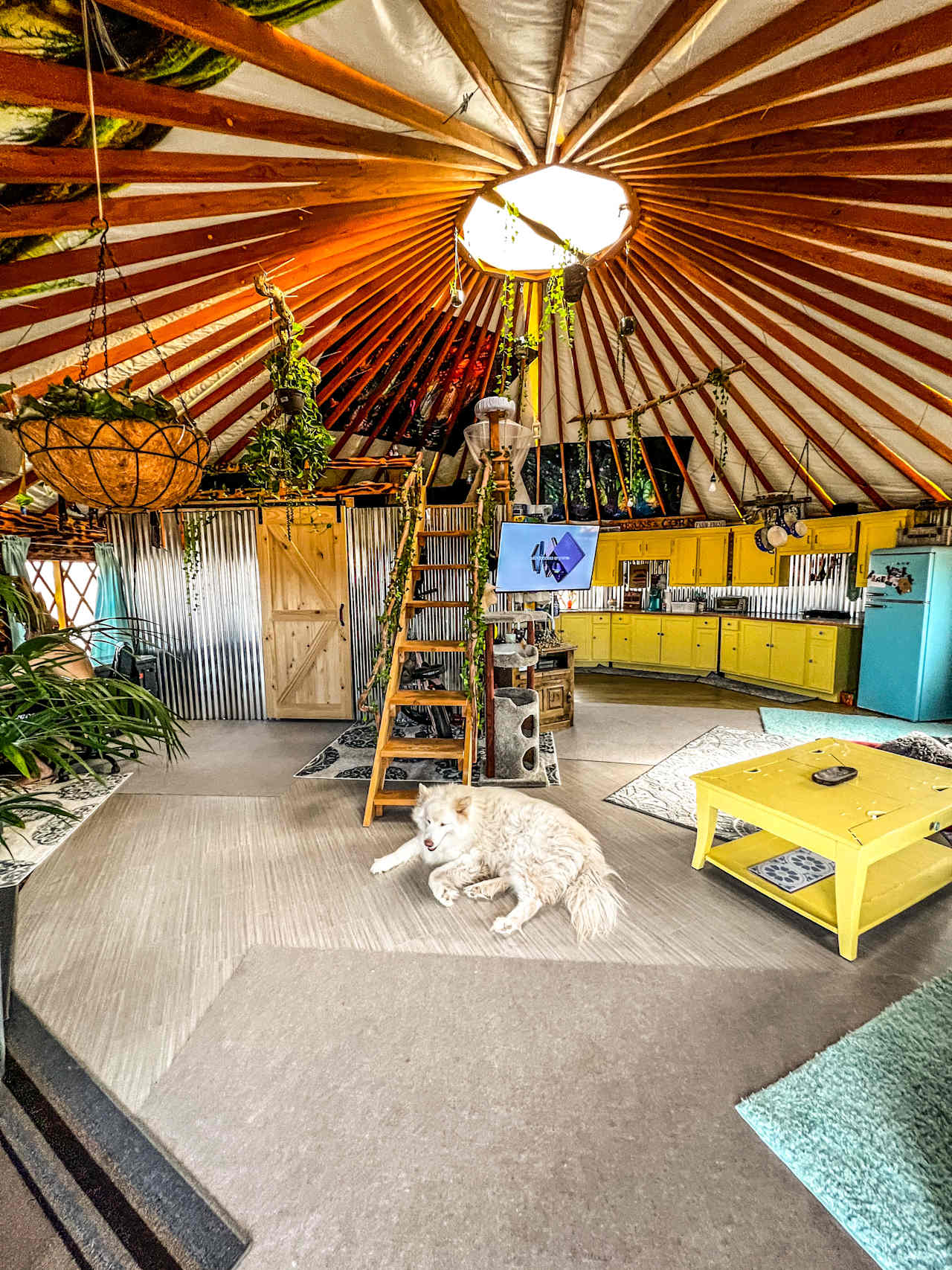 Off Grid Desert Yurt Getaway