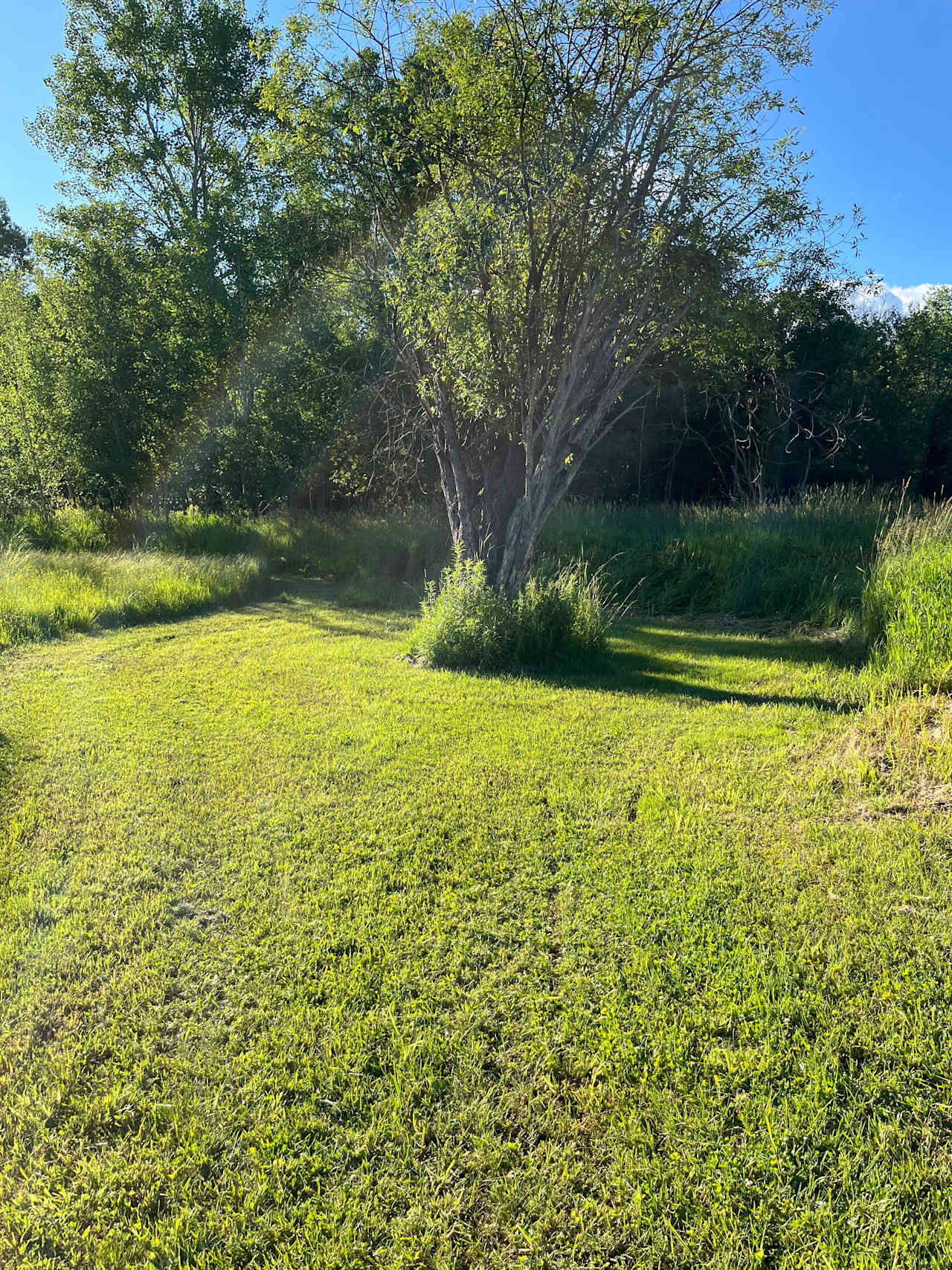 This is #2 Camp site and is close to the pond.