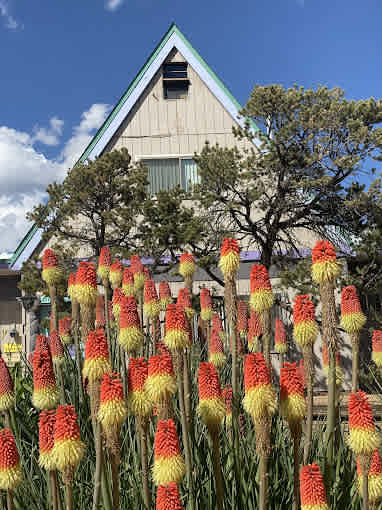 Rancheros De Santa Fe Resort