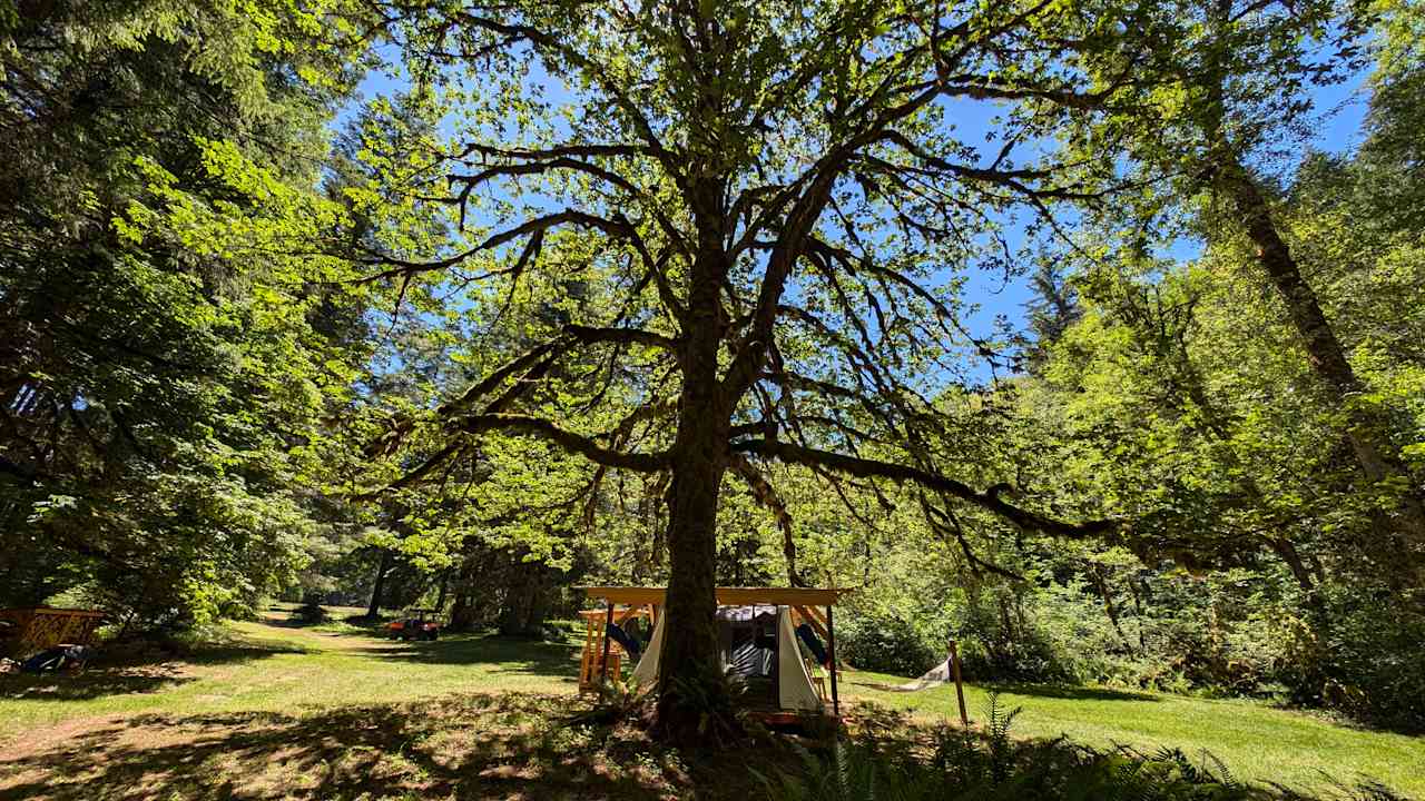 Shelter at Castle Rock Farm