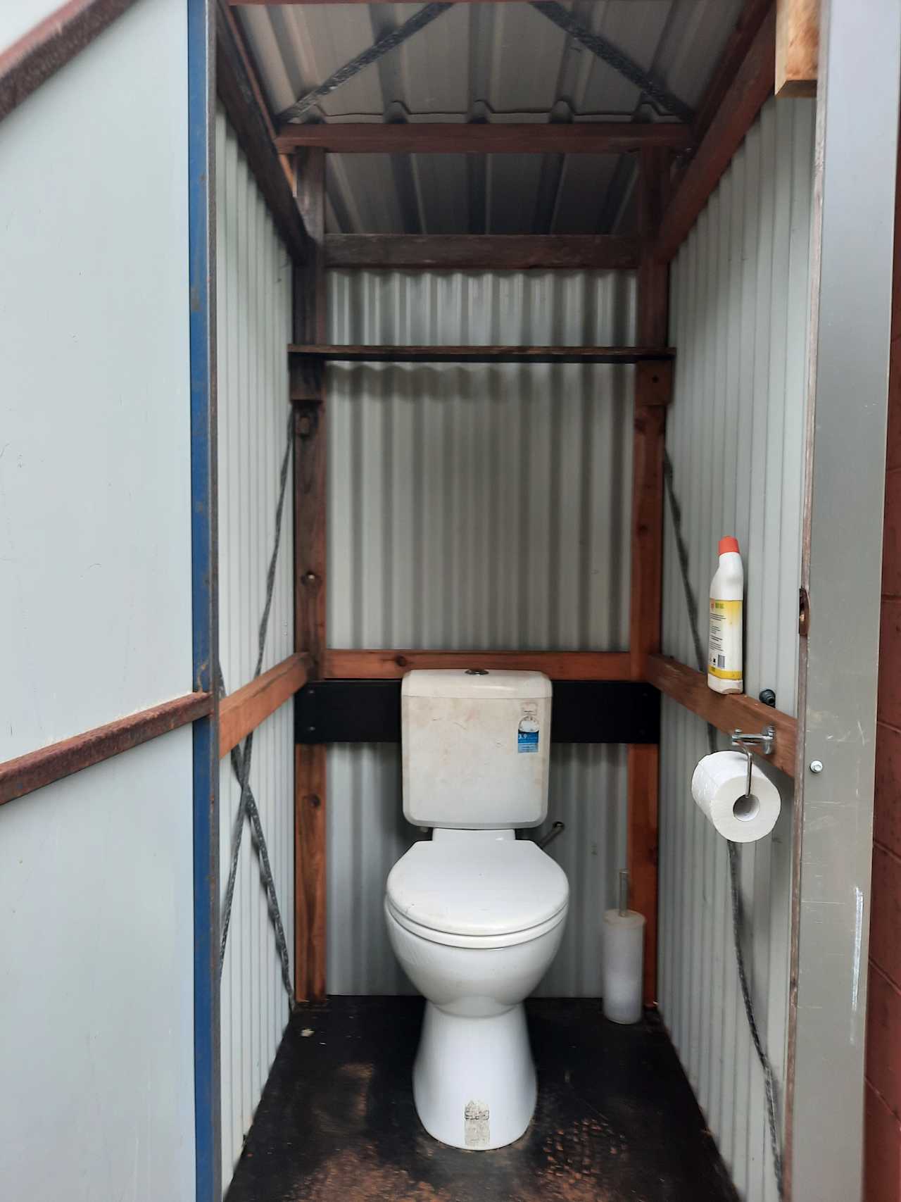 Flush toilet with toilet paper provided 