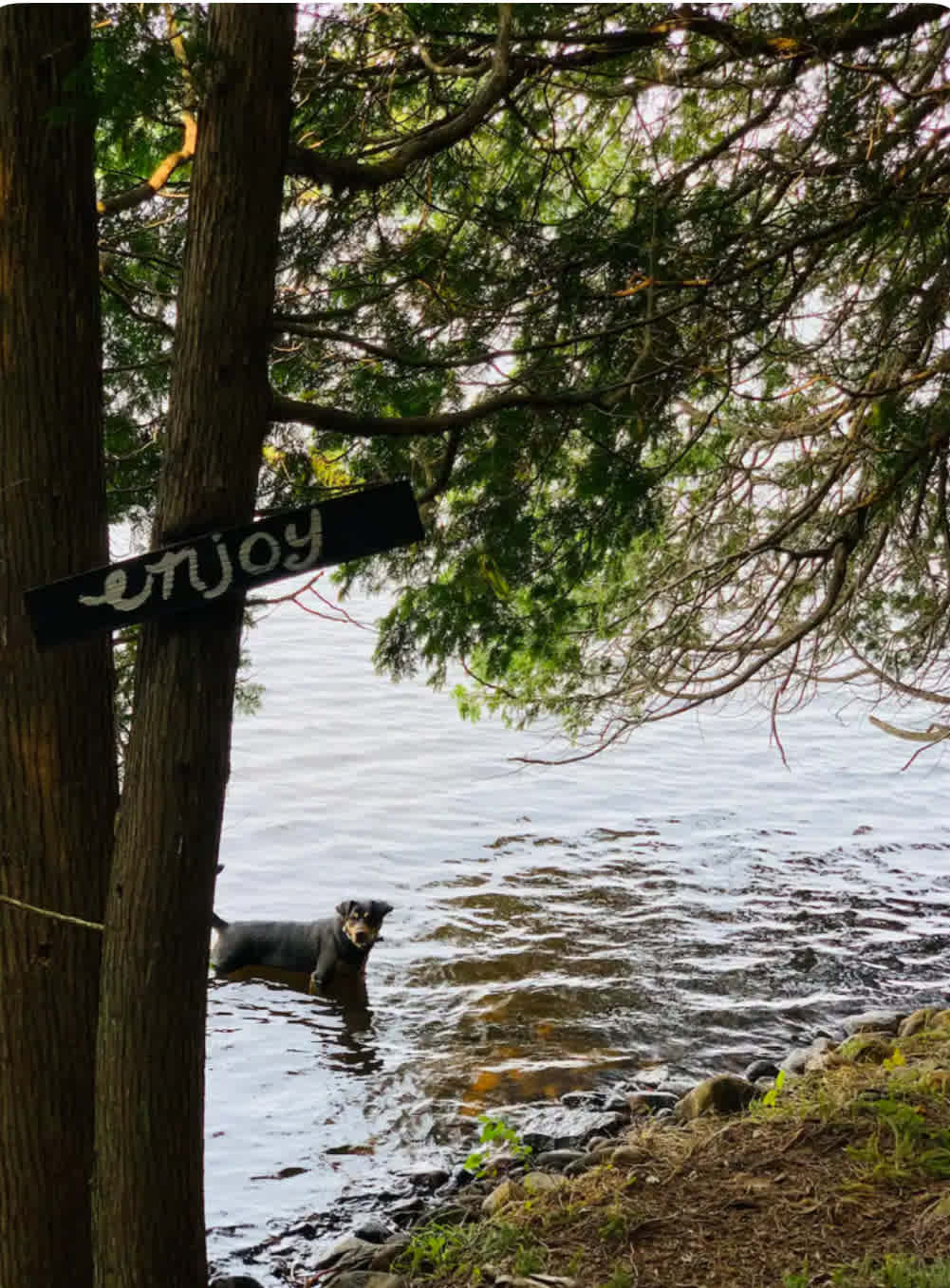 Lynx Lake Cabins