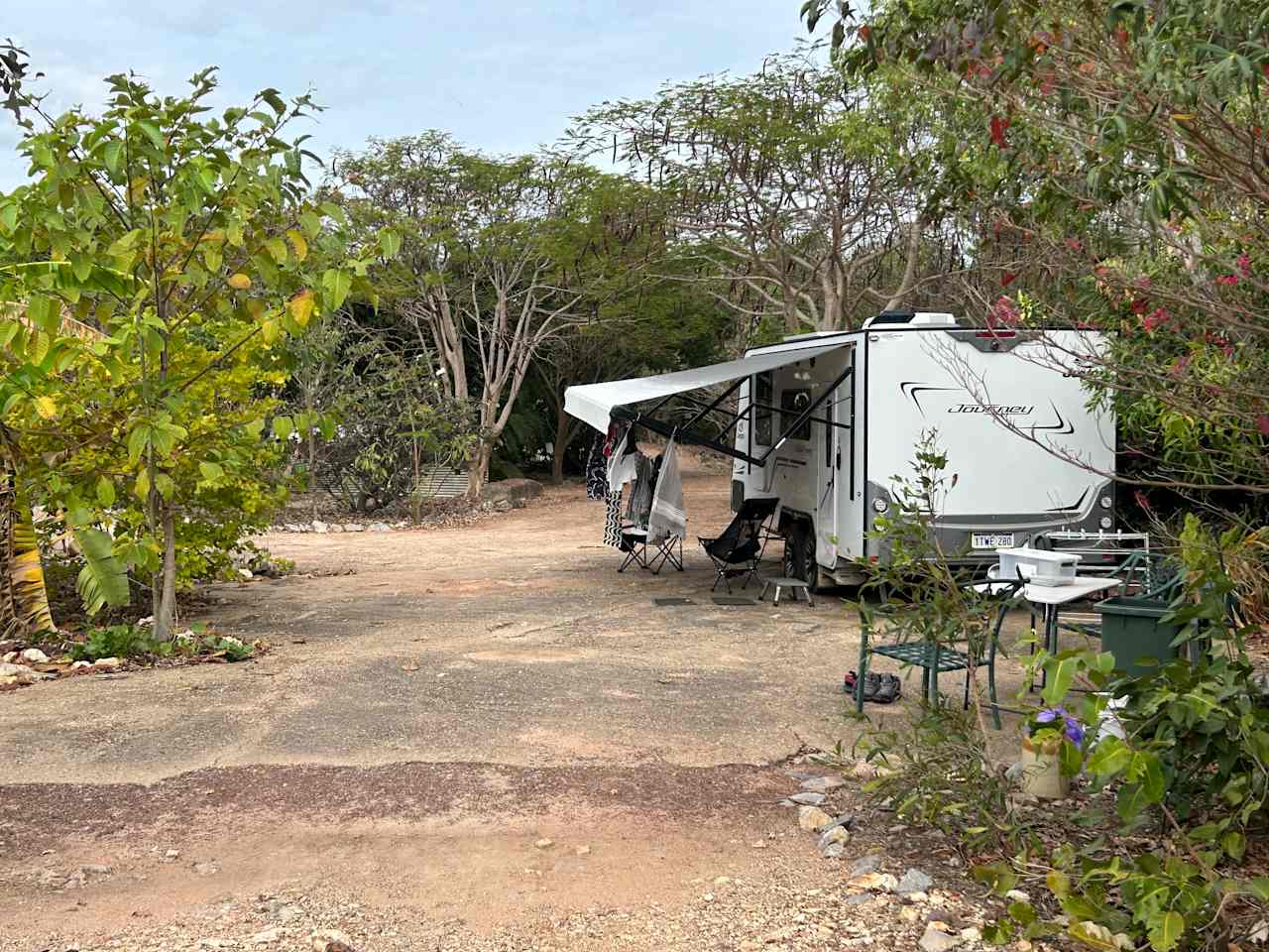 Bougainvillea Site 