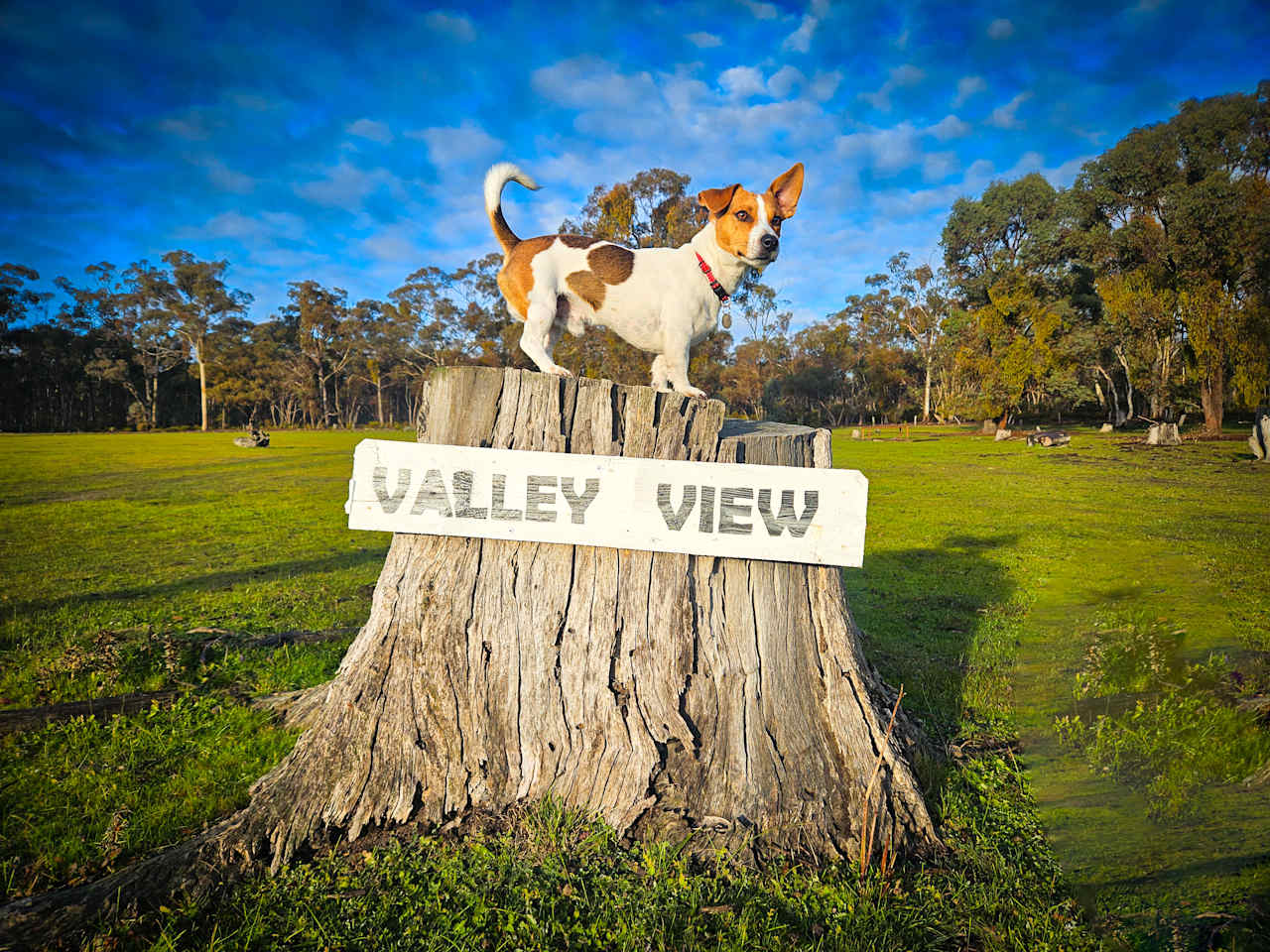 Somerville Park   (Bendigo)