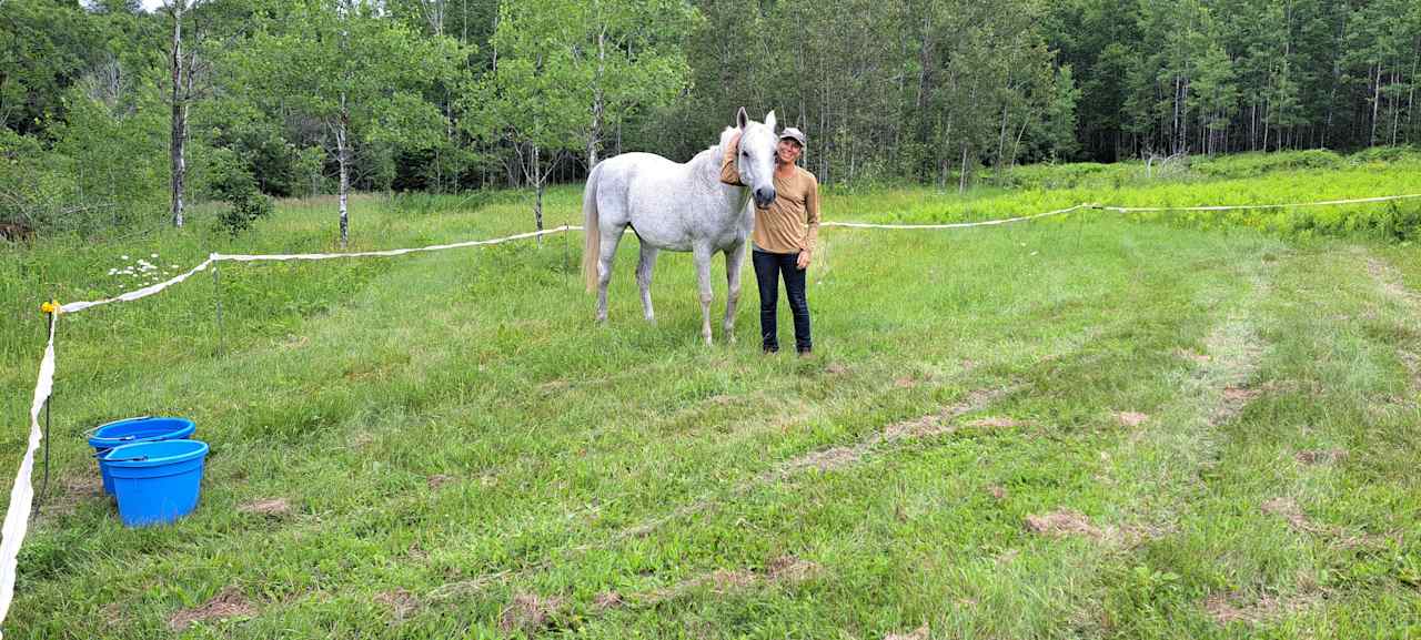 Rootbound Ranch Camp n Horse