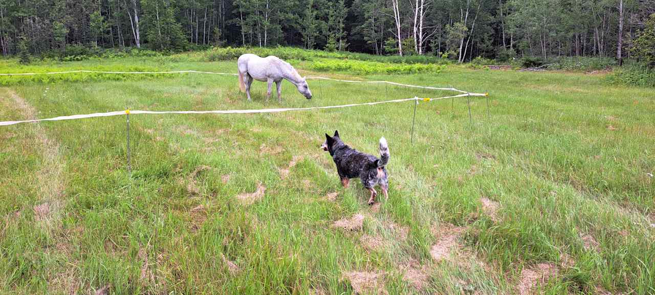 Rootbound Ranch Camp n Horse