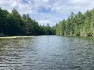 Trapper Lake