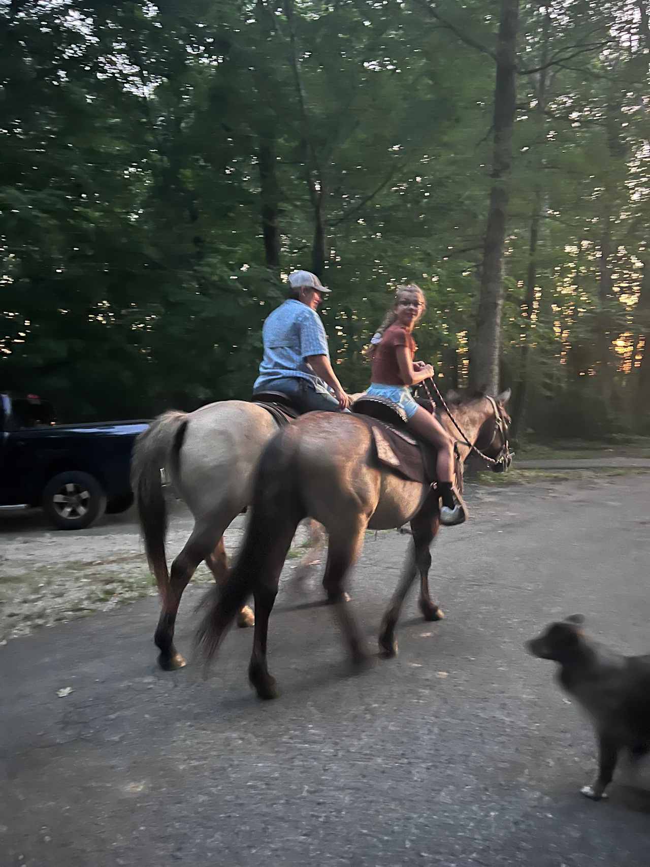 Dragonfly Ranch camping with horses