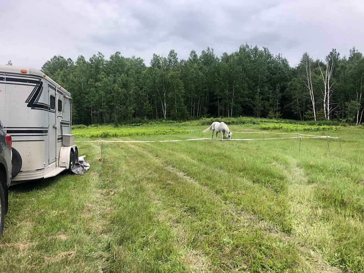 E-corral in pasture.