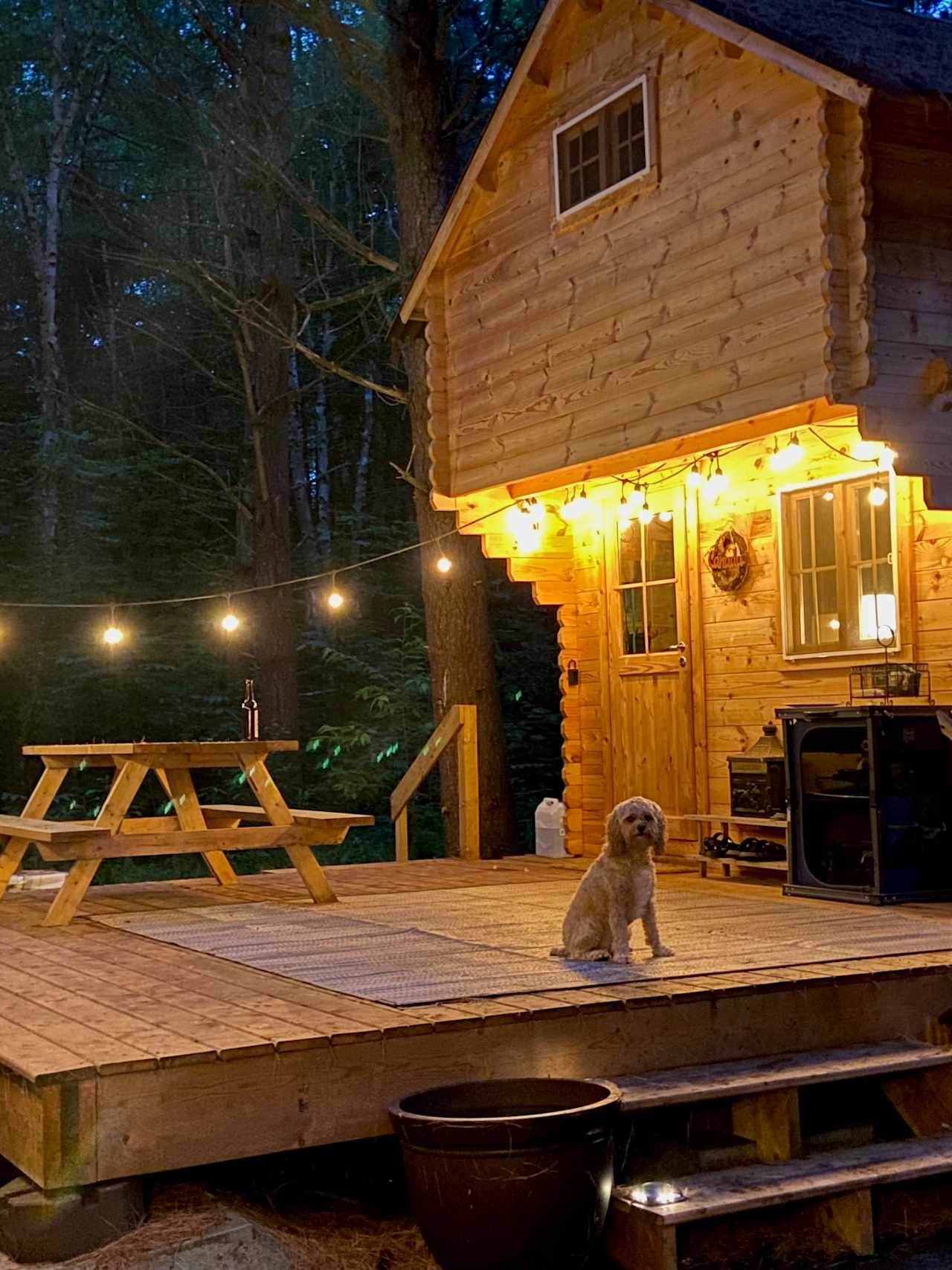 Cozy Cabin in the Woods