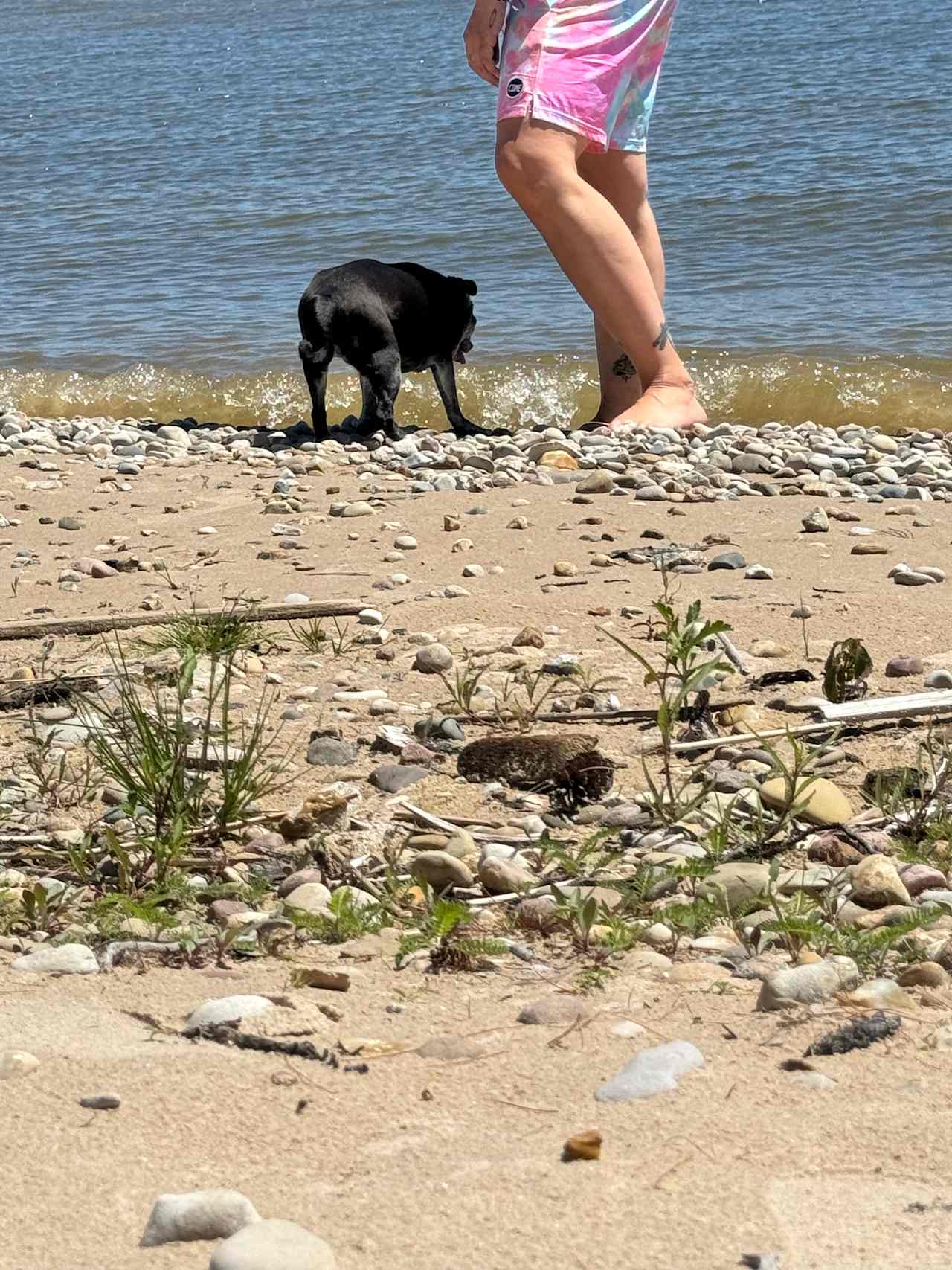 Lake Huron Private Campspot/Ocqueoc