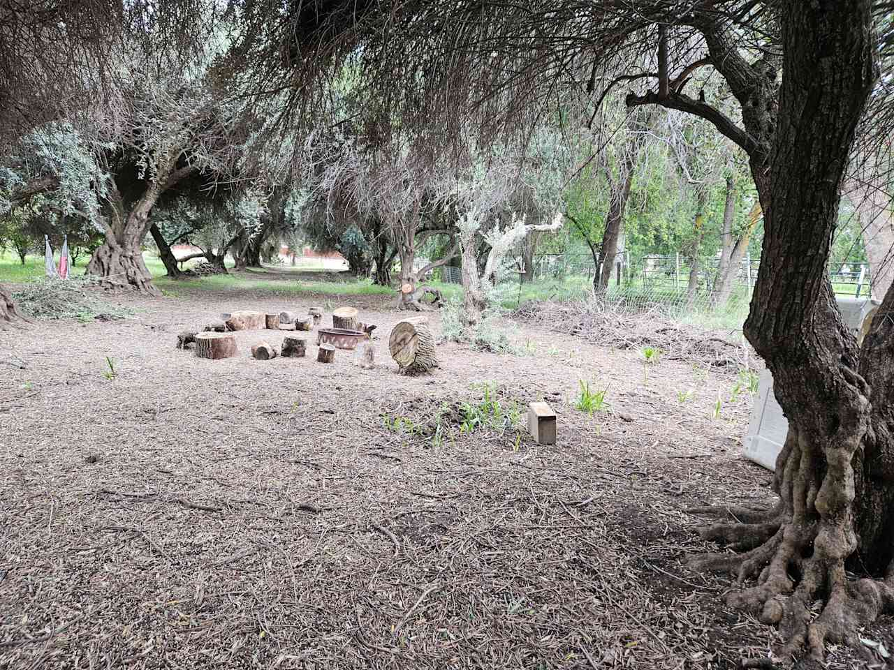 Blue Moon Orchard Retreat