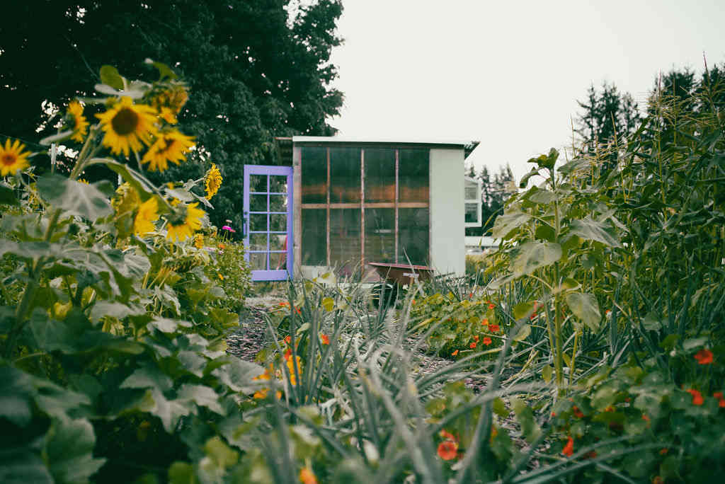 Samara Farm Treehouses