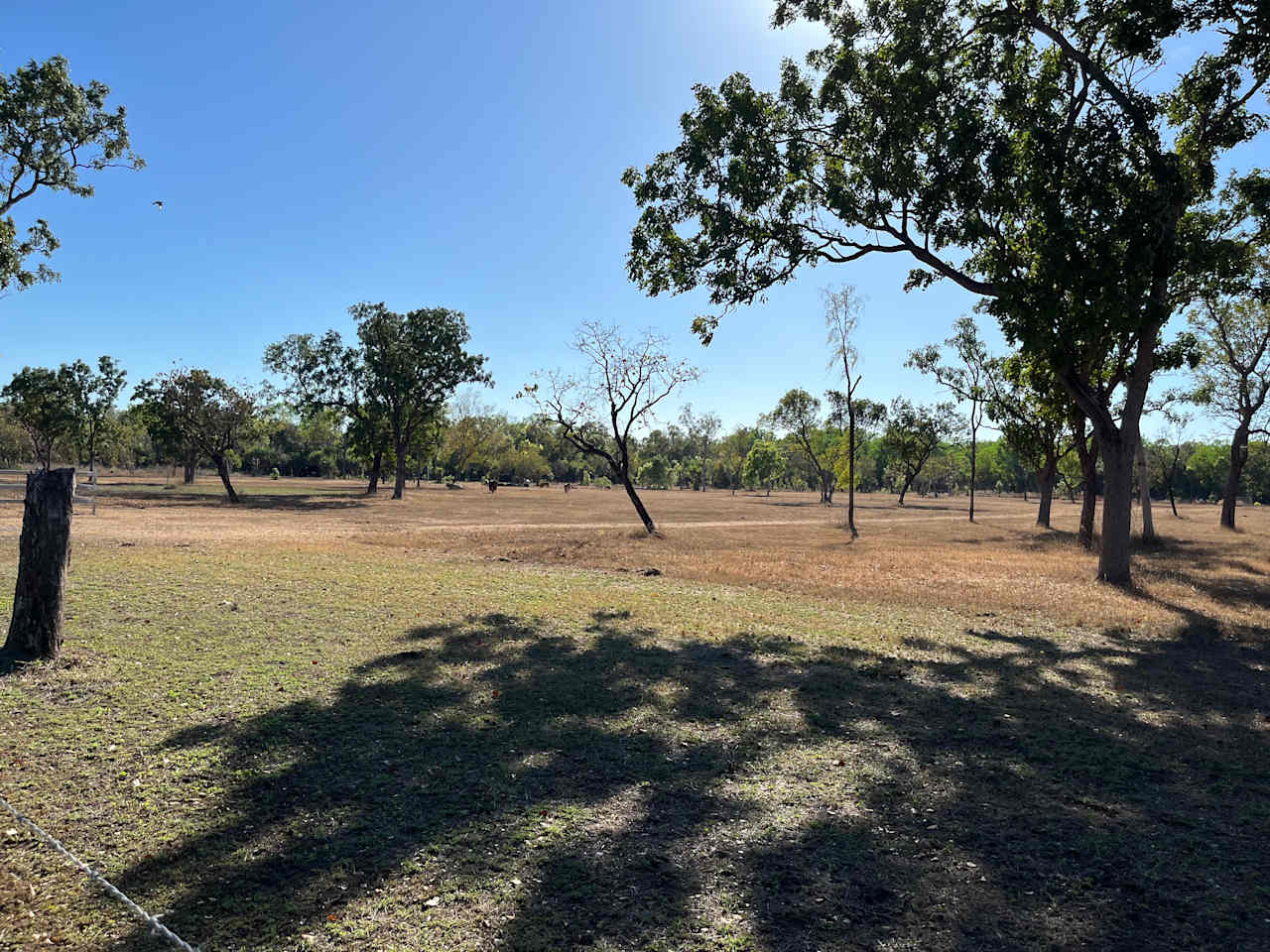 Leichhardt Arena Farm Stay