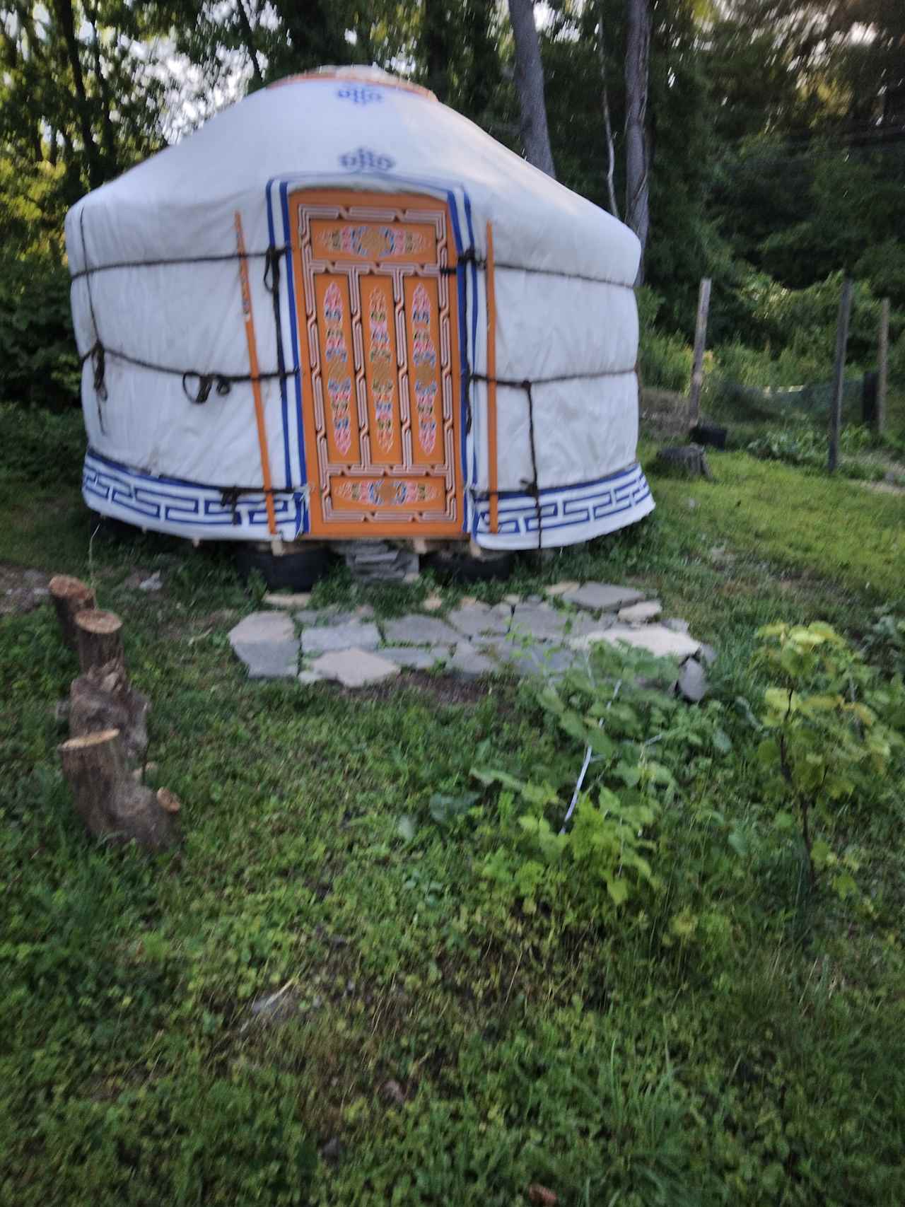 Mongolian yurt camping in backyard