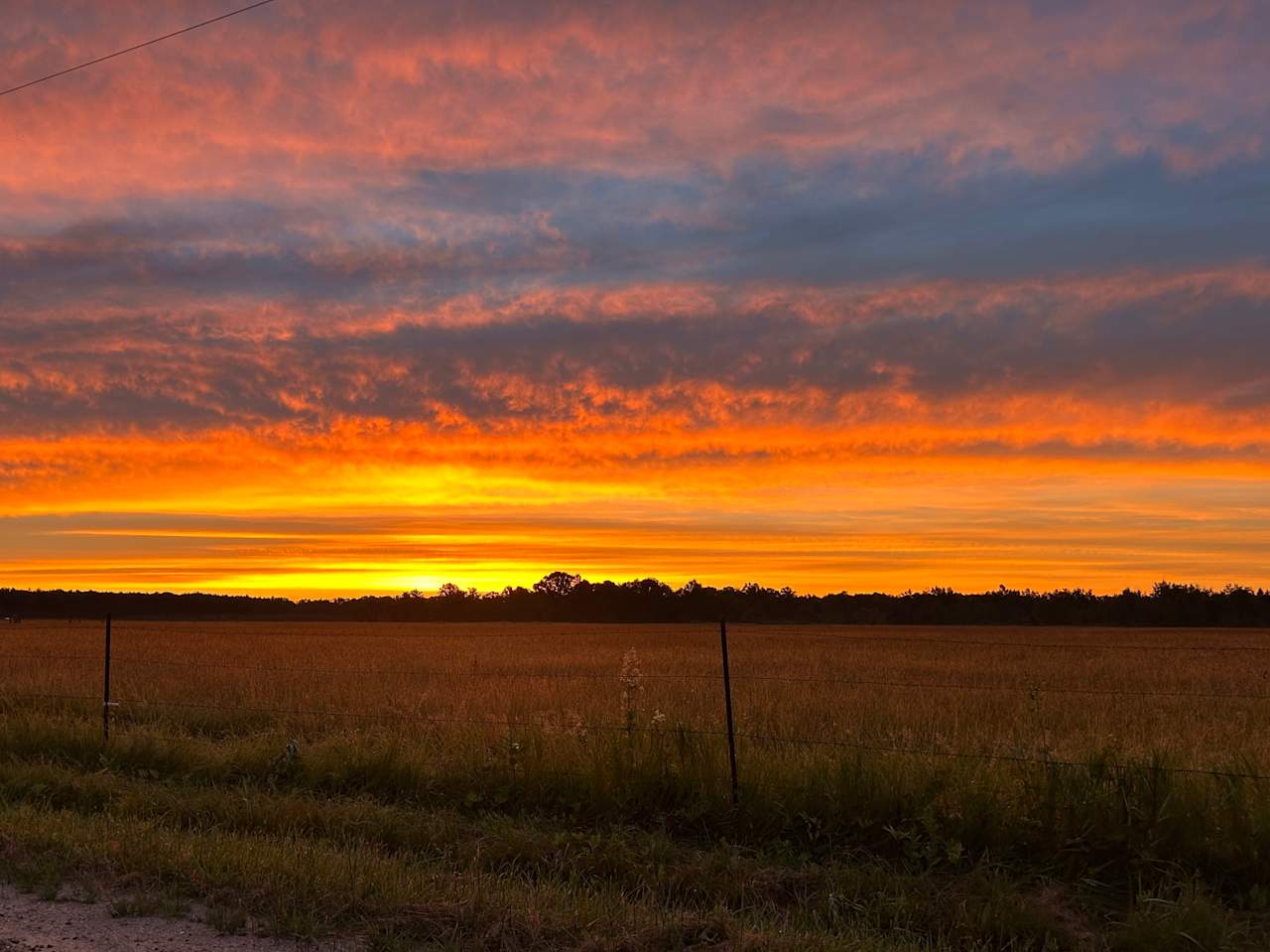 Sunrise over the field! The sunrises over our pon and field are spectacular