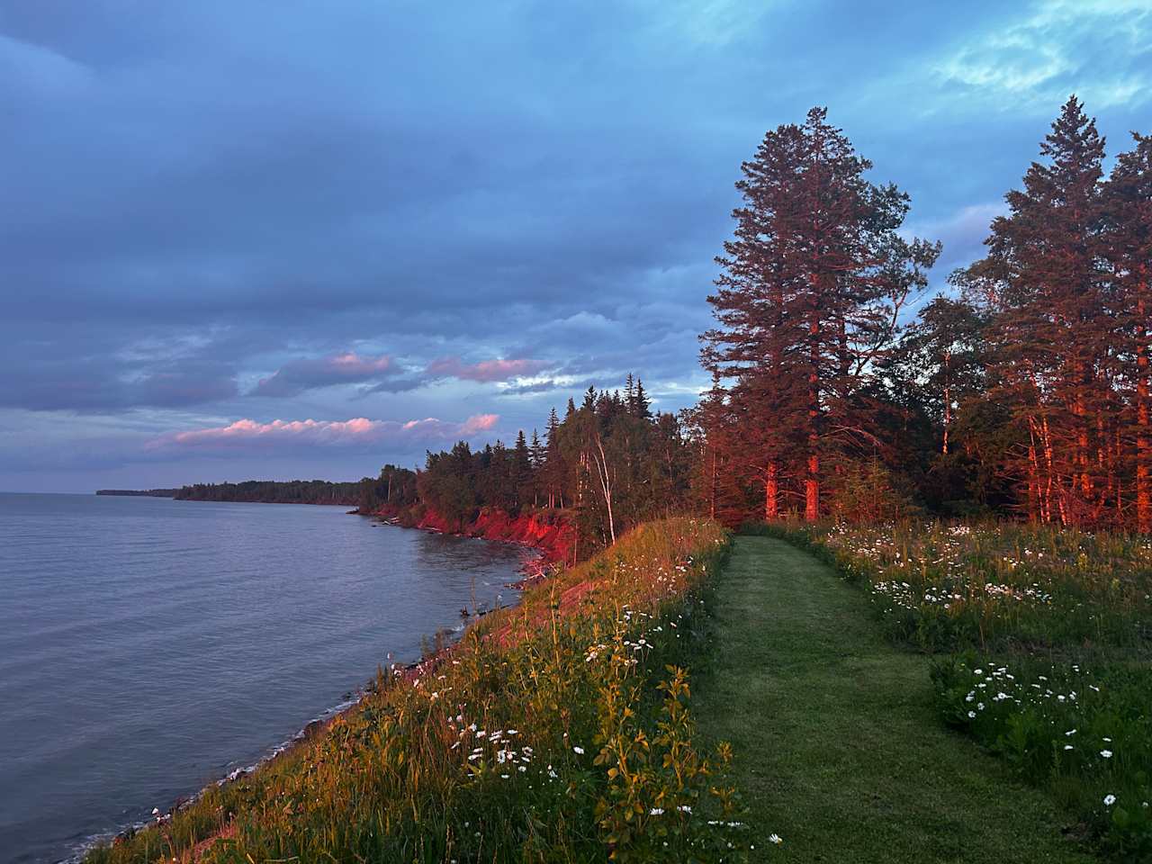 Stargazer On Superior