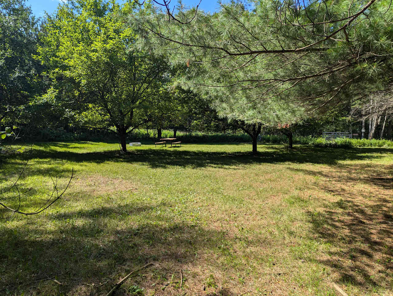 Walking into the orchard from the parking area/trail.