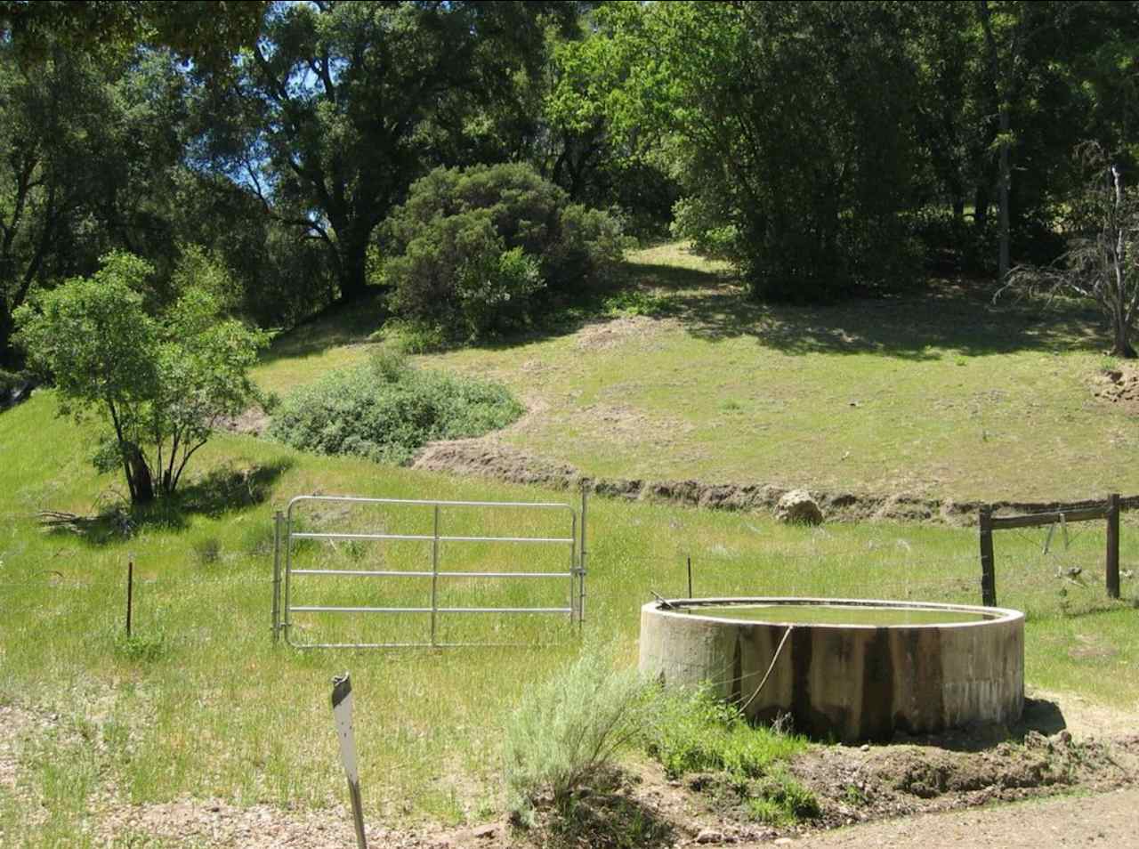 See The Stars Ranch