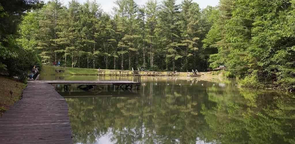 Spacious Skies Bear Den - RV/Tent Sites