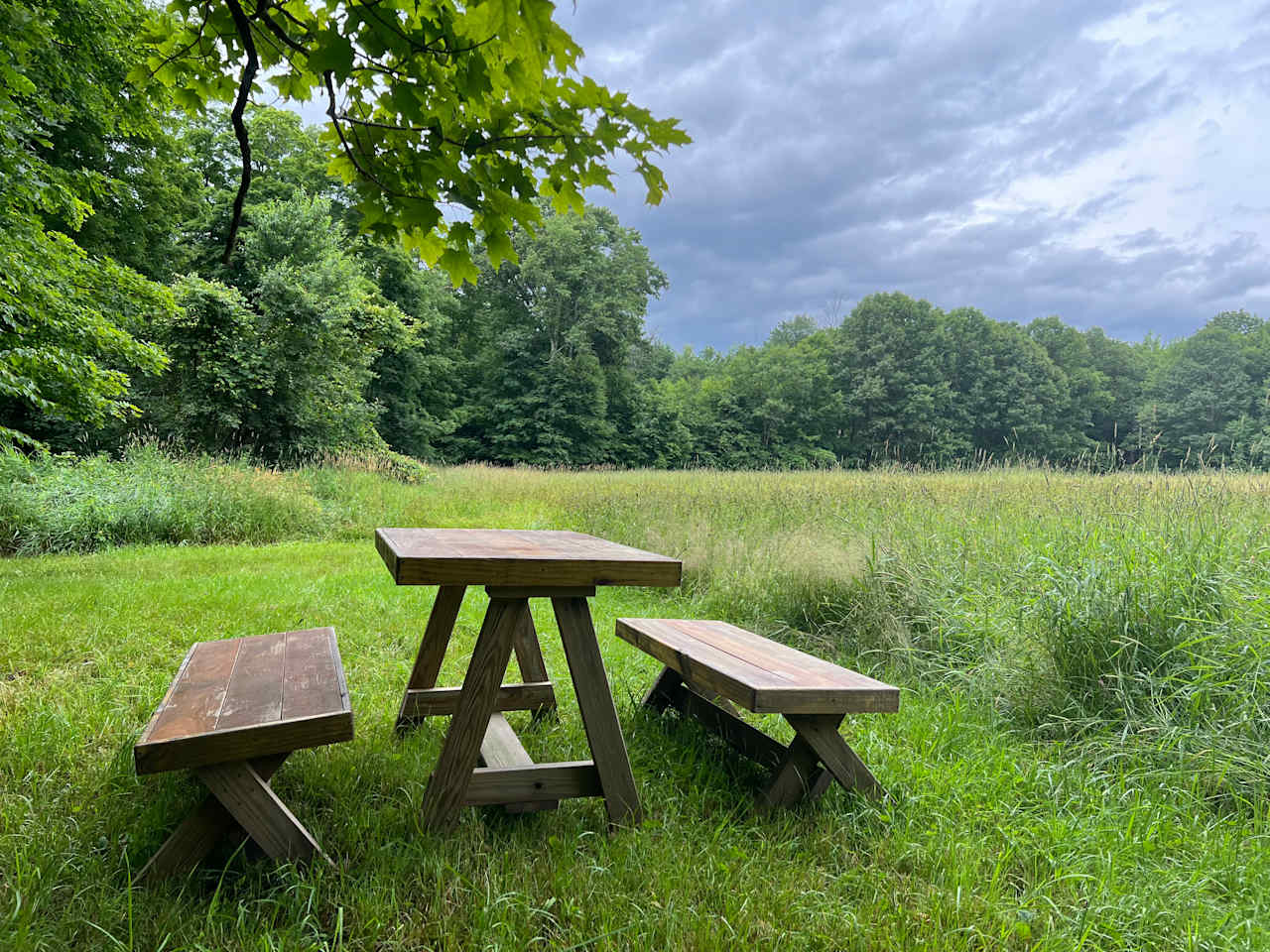 Maple Corner Farm