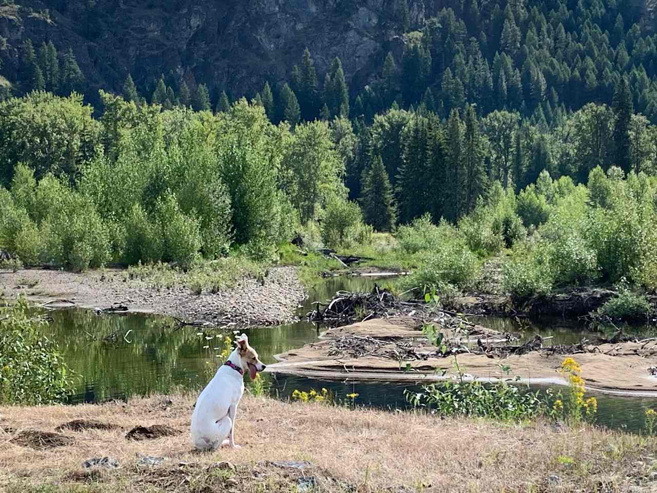 Looking at small arm of Granby River