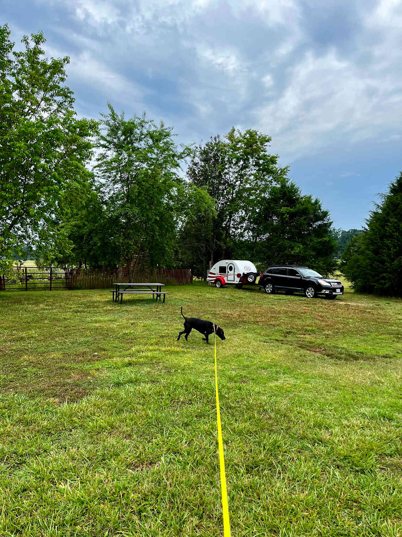 Southern Revere Vineyard & Farm