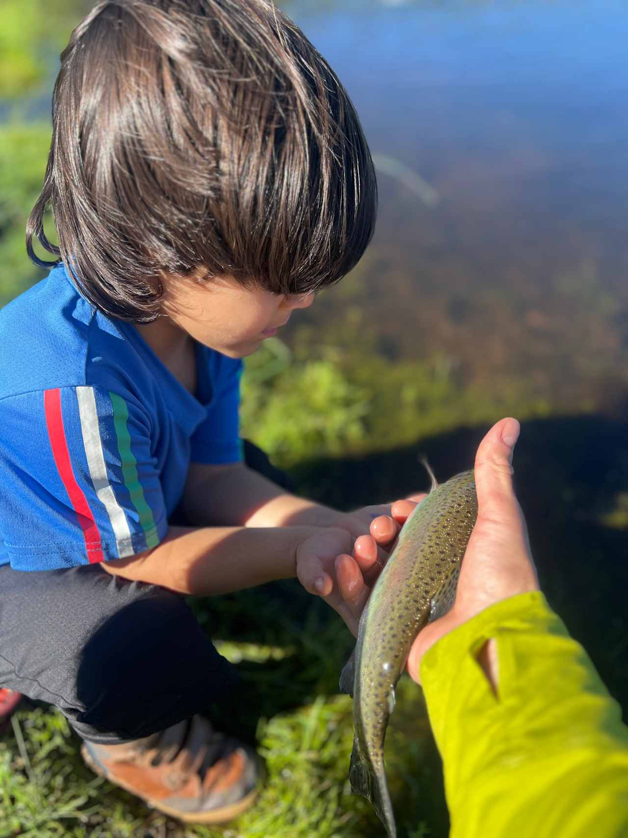 Fishing on site too! Rainbow caught with a black leech on a fly rod. 