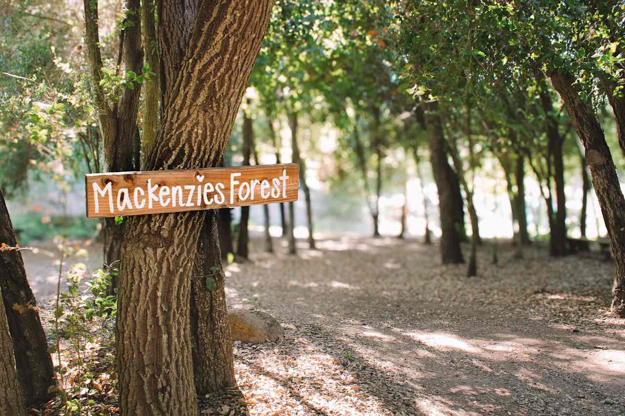 The one and only Mackenzies Forest, a great place to gather with a group!