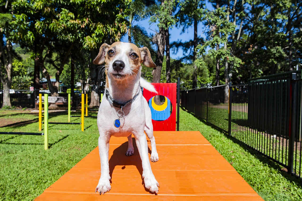 Ingenia Holidays Cairns Coconut