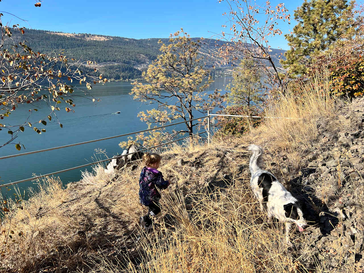 Lakeview, Lakefront + Forested Camp